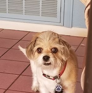 Meet your Posher, Kathy